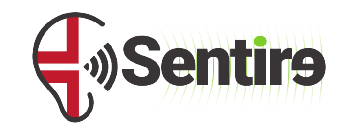 Sentire